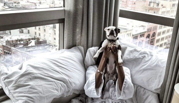 Babba C Rivera in a hotel room with her dog