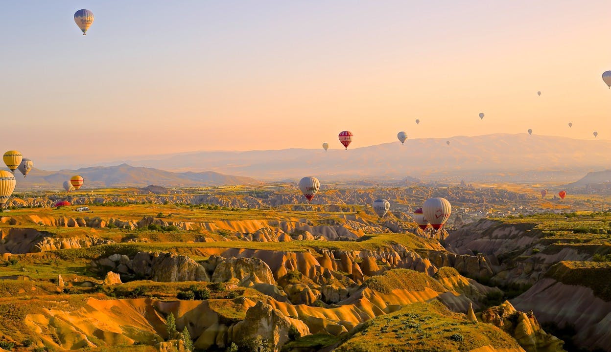 Hot air balloons over green terrain